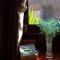 Anna Pham Bungalow - Friendly Local