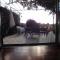 Orchidea Terrace
