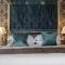Ivy Hill Hotel, Sure Hotel Collection by Best Western