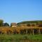 La Passerelle des Corton B&B photo 8