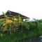 Country Retreat