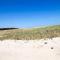 Nauset Beach Buddy - Orleans