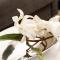 Luxury Apartment Boutique in Torres del Sol
