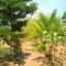 Pondok Balian