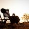 Temba Private Game Reserve