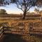 Glenview Alpaca Farm