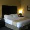 Holiday Inn St. Paul Northeast - Lake Elmo, an IHG Hotel