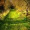 Branxholme Castle (Bed & Breakfast)