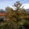 Riedz Apartments Innsbruck- Zentrales Apartmenthaus mit grüner Oase