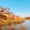Tugela River Lodge
