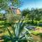 Apartment with pool Albina 3 - Umag