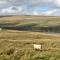 Weardale Cottage