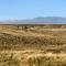 Weardale Cottage