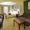 Holiday Inn Express Breaux Bridge by IHG