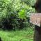 Glamping con sentido