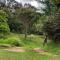 Glamping con sentido