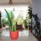 Mây Homestay