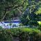 Entre Bosques Tayrona
