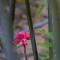 Entre Bosques Tayrona