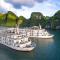 Paradise Elegance Cruise Halong
