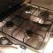 nido di dafne