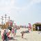 Strandvakantieappartement Zilverstrand - met binnenzwembad!