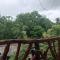 Sigiri Lion Lodge
