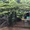 Sigiri Lion Lodge