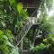 Tree House Village - Waterfall