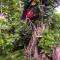 Tree House Village - Waterfall