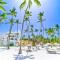 Punta Cana Beachfront Rentals - Everything Punta Cana