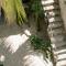 NEST Tulum - تولوم