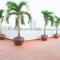 Glenwood Residences