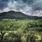 CELYN - SNOWDONIA COTTAGE
