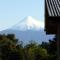 Lodge El Taique - Puyehue