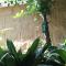 El jardín de la abuela