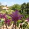 El jardín de la abuela