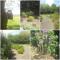 B&B Johannes-Hoeve