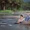 The Anchorage Athirapilly Resort