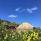 Portsalon Luxury Camping