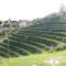 Weingut Albert, Familie Cramer