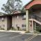 Olive Tree Inn & Suites - San Luis Obispo