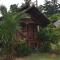 Andaman Sunflower