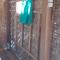 Sollo Sollo Homestay