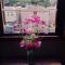 Jin Sha Ting Hai Homestay I