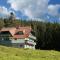 Apartma Borovnica Rogla
