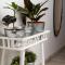 San Juan Fresh Flat - Telde