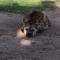 WE4Kenya Guesthouses