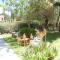 Dandy Suites