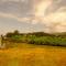 Shobha Farmhouse